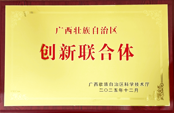 廣西壯族自治區(qū)創(chuàng)新聯(lián)合體